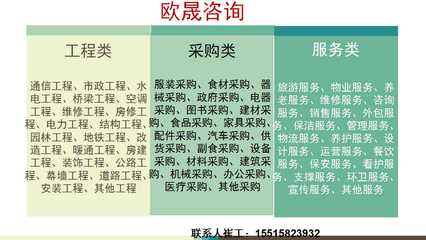 环翠区工程管理服务投标书编制指南 一主两陪模式实战解析